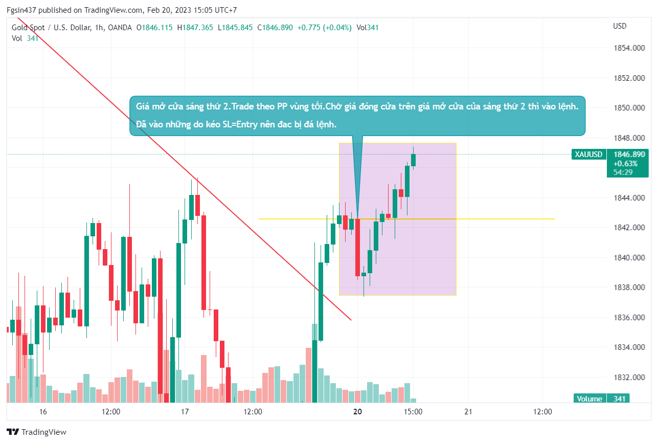 Phân Tích Gold PP VÙng Tối ngày 20/2/2023