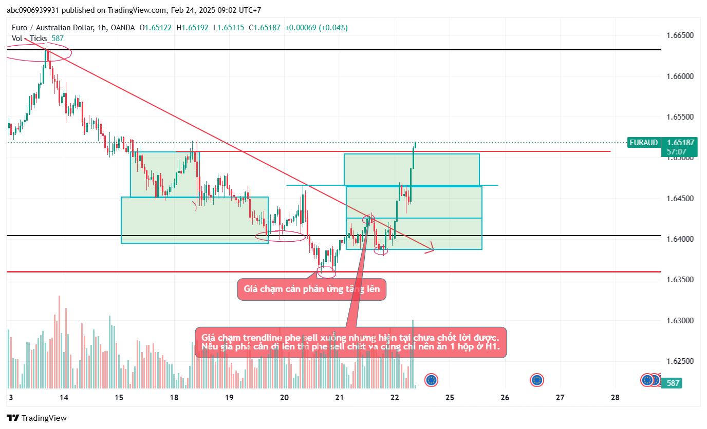 Phân Tích EA,EN ngày 24/2/2025